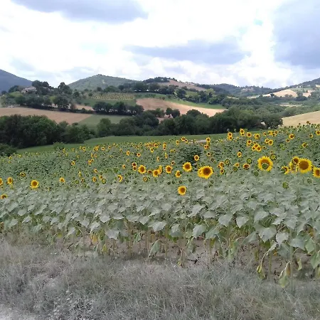 La Quercia Grande * Loretello